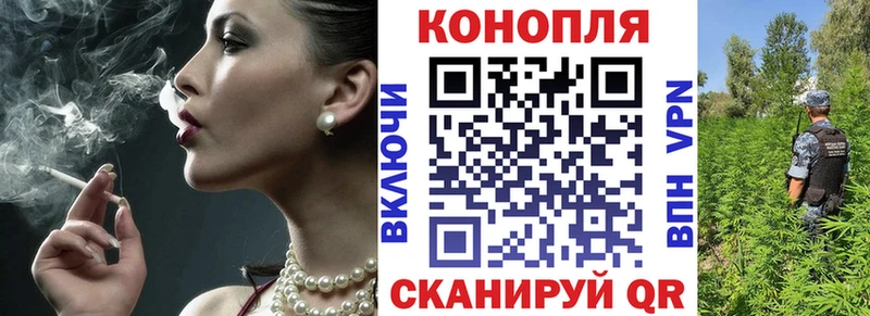 omg вход  Темрюк  МАРИХУАНА ГИДРОПОН  купить наркотики цена 